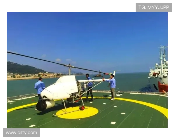 直升机在海上平台的着舰引导系统