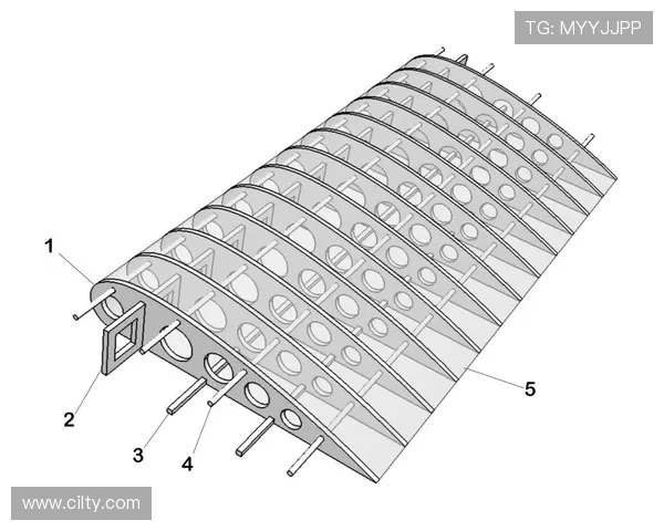 飞机机翼结构的拓扑优化建模